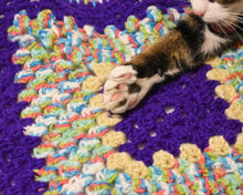 Load image into Gallery viewer, Purple Rainbow Cat Mat