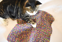 Load image into Gallery viewer, Rich Jewel Tone Rainbow Crochet Cat Mat
