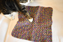 Load image into Gallery viewer, Rich Jewel Tone Rainbow Crochet Cat Mat