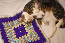 Load image into Gallery viewer, Purple Rainbow Cat Mat