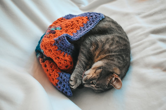 Cat Mat FAQ: What Exactly is a Cat Mat, Anyway?
