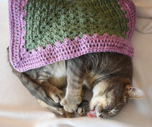 Load image into Gallery viewer, Sage &amp; Lavender Cat Mat
