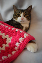 Load image into Gallery viewer, Bright Pink and Navy Crochet Cat Mat
