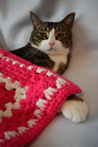 Bright Pink and Navy Crochet Cat Mat