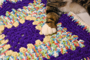 Purple Rainbow Cat Mat